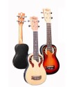 CHARDS ED12-2EQ 葡萄孔 電木UKULELE